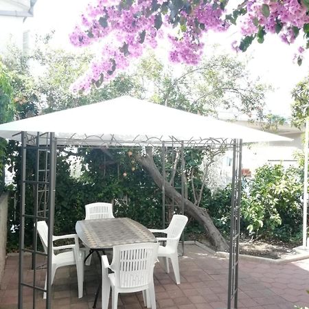 Apartmani Ivona Podgora Dış mekan fotoğraf