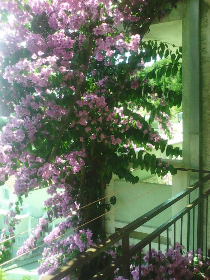 Apartmani Ivona Podgora Dış mekan fotoğraf